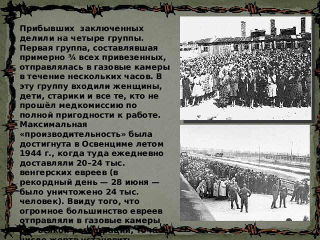Прибывших заключенных делили на четыре группы. Первая группа, составлявшая примерно ¾ всех привезенных, отправлялась в газовые камеры в течение нескольких часов. В эту группу входили женщины, дети, старики и все те, кто не прошёл медкомиссию по полной пригодности к работе. Максимальная «производительность» была достигнута в Освенциме летом 1944 г., когда туда ежедневно доставляли 20–24 тыс. венгерских евреев (в рекордный день — 28 июня — было уничтожено 24 тыс. человек). Ввиду того, что огромное большинство евреев отправляли в газовые камеры без всякой регистрации, точное число жертв установить невозможно. 