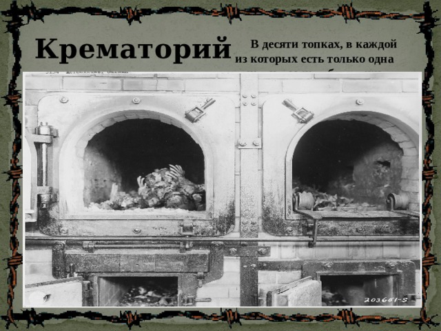 Крематорий   В десяти топках, в каждой из которых есть только одна лежанка, можно было сжигать по две тысячи тел в день. В одну топку закладывали по несколько тел сразу, и крематорий работал круглые сутки, не останавливаясь 