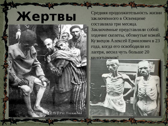 Жертвы  Средняя продолжительность жизни заключенного в Освенциме составляла три месяца. Заключенные представляли собой ходячие скелеты, обтянутые кожей. Кузнецов Алексей Ермилович в 23 года, когда его освободили из лагеря, весил чуть больше 20 килограммов! 