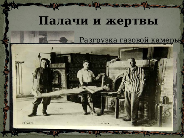Палачи и жертвы Разгрузка газовой камеры 