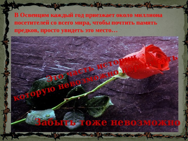 Это часть истории, которую невозможно переписать В Освенцим каждый год приезжает около миллиона посетителей со всего мира, чтобы почтить память предков, просто увидеть это место…  Забыть тоже невозможно 