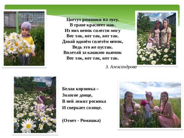 Цветут ромашки на лугу.  В траве краснеет мак.  Из них венок сплести могу  Вот так, вот так, вот так. Давай вдвоём сплетём венок,  Ведь это же пустяк.  Вплетай за кашкою вьюнок  Вот так, вот так, вот так. З. Александрова  Белая корзинка –  Золотое донце,  В ней лежит росинка  И сверкает солнце.   (Ответ - Ромашка) 