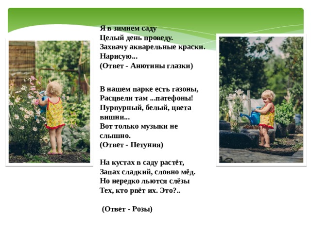 Я в зимнем саду  Целый день проведу.  Захвачу акварельные краски.  Нарисую...  (Ответ - Анютины глазки)  В нашем парке есть газоны,  Расцвели там ...патефоны!  Пурпурный, белый, цвета вишни...  Вот только музыки не слышно.  (Ответ - Петуния) На кустах в саду растёт,  Запах сладкий, словно мёд.  Но нередко льются слёзы  Тех, кто рвёт их. Это?..   (Ответ - Розы)  