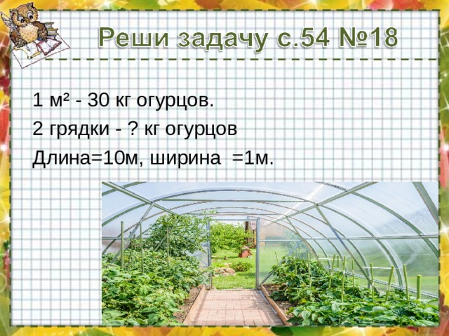1 м ² - 30 кг огурцов. 2 грядки - ? кг огурцов Длина=10м, ширина =1м.  