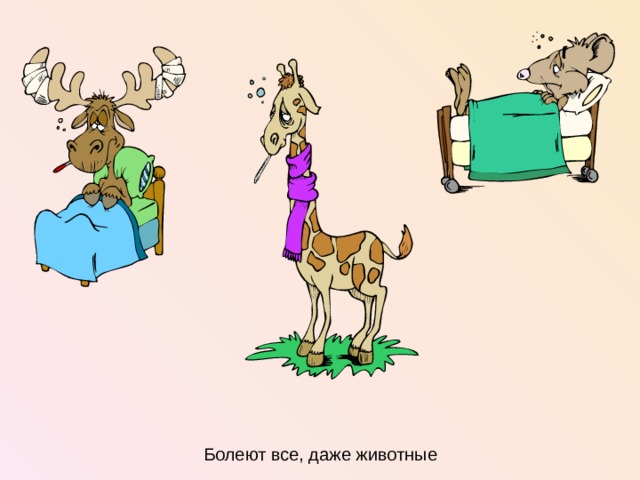 Болеют все, даже животные   