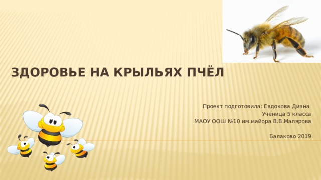 Здоровье на крыльях пчёл Проект подготовила: Евдокова Диана Ученица 5 класса МАОУ ООШ №10 им.майора В.В.Малярова Балаково 2019 