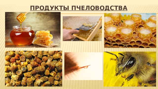 Продукты пчеловодства 