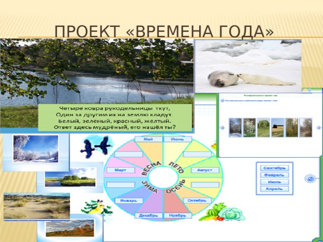 Проект «Времена Года» 
