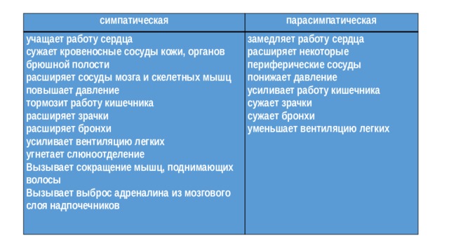 симпатическая парасимпатическая учащает работу сердца сужает кровеносные сосуды кожи, органов брюшной полости замедляет работу сердца расширяет сосуды мозга и скелетных мышц расширяет некоторые периферические сосуды повышает давление понижает давление усиливает работу кишечника тормозит работу кишечника сужает зрачки расширяет зрачки сужает бронхи расширяет бронхи усиливает вентиляцию легких уменьшает вентиляцию легких угнетает слюноотделение   Вызывает сокращение мышц, поднимающих волосы Вызывает выброс адреналина из мозгового слоя надпочечников 