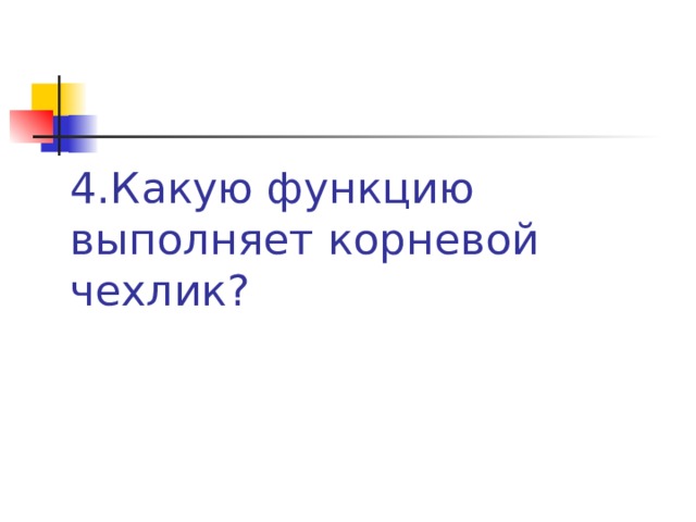 4.Какую функцию выполняет корневой чехлик? 