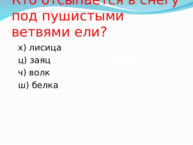 Кто отсыпается в снегу под пушистыми ветвями ели? х) лисица ц) заяц ч) волк ш) белка 