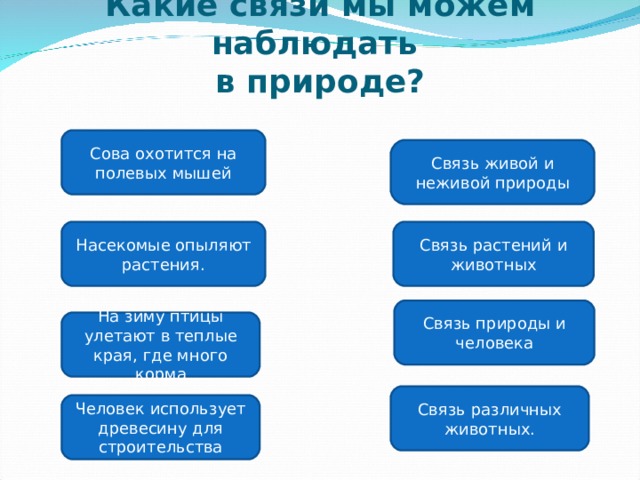 Какие связи мы можем наблюдать  в природе? Сова охотится на полевых мышей Связь живой и неживой природы Насекомые опыляют растения. Связь растений и животных Связь природы и человека На зиму птицы улетают в теплые края, где много корма Связь различных животных. Человек использует древесину для строительства 