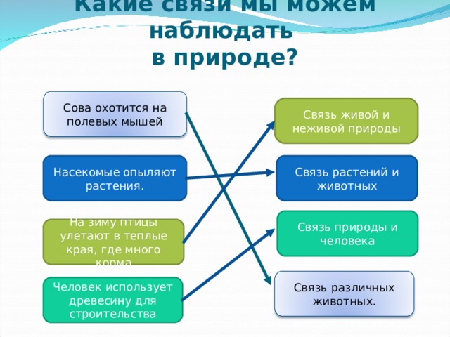 Какие связи мы можем наблюдать  в природе? Сова охотится на полевых мышей Связь живой и неживой природы Насекомые опыляют растения. Связь растений и животных Связь природы и человека На зиму птицы улетают в теплые края, где много корма Связь различных животных. Человек использует древесину для строительства 