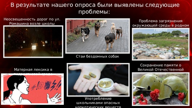 В результате нашего опроса были выявлены следующие проблемы: Неосвещенность дорог по ул. Ромашина возле школы Проблема загрязнения окружающей среды в родном городе Стаи бездомных собак Сохранение памяти о Великой Отечественной войне Матерная лексика в подростковой среде Употребление школьниками опасных наркотических веществ 
