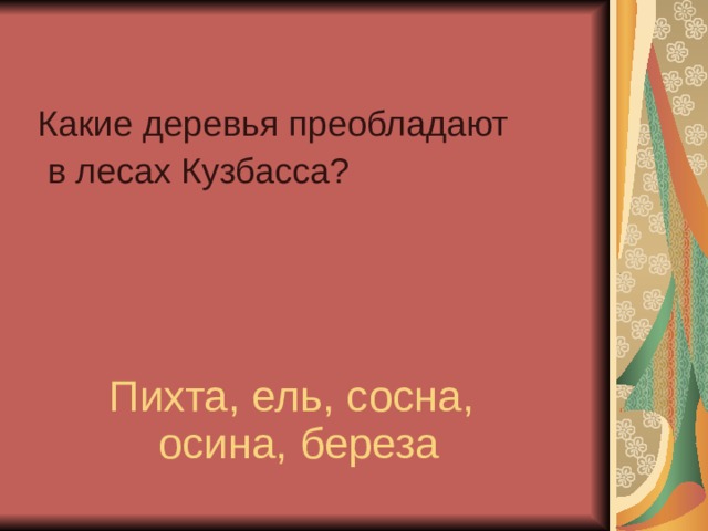 Какие деревья преобладают  в лесах Кузбасса?  Пихта, ель, сосна, осина, береза 