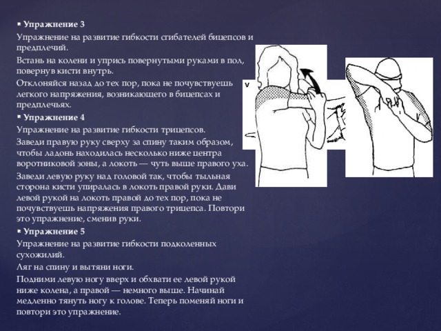 Упражнение 3 Упражнение на развитие гибкости сгибателей бицепсов и предплечий. Встань на колени и упрись повернутыми руками в пол, повернув кисти внутрь. Отклоняйся назад до тех пор, пока не почувствуешь легкого напряжения, возникающего в бицепсах и предплечьях. Упражнение 4 Упражнение на развитие гибкости трицепсов. Заведи правую руку сверху за спину таким образом, чтобы ладонь находилась несколько ниже центра воротниковой зоны, а локоть — чуть выше правого уха. Заведи левую руку над головой так, чтобы тыльная сторона кисти упиралась в локоть правой руки. Дави левой рукой на локоть правой до тех пор, пока не почувствуешь напряжения правого трицепса. Повтори это упражнение, сменив руки. Упражнение 5 Упражнение на развитие гибкости подколенных сухожилий. Ляг на спину и вытяни ноги. Подними левую ногу вверх и обхвати ее левой рукой ниже колена, а правой — немного выше. Начинай медленно тянуть ногу к голове. Теперь поменяй ноги и повтори это упражнение. 