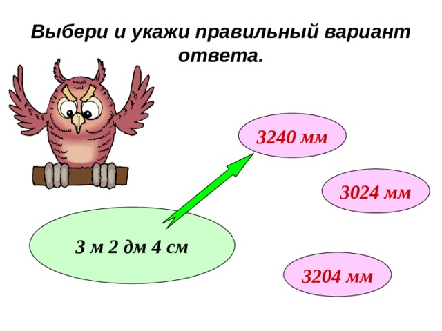 Выбери и укажи правильный вариант ответа. 3240 мм 3024 мм 3 м 2 дм 4 см 3204 мм 
