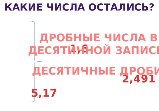 Какие числа остались? ДРОБНЫЕ ЧИСЛА В ДЕСЯТИЧНОЙ ЗАПИСИ. 1,6 ДЕСЯТИЧНЫЕ ДРОБИ. 2,491 5,17 3 