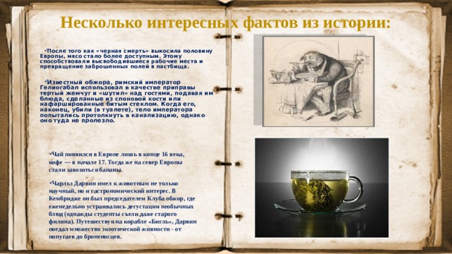 Несколько интересных фактов из истории: После того как «черная смерть» выкосила половину Европы, мясо стало более доступным. Этому способствовали высвободившиеся рабочие места и превращение заброшенных полей в пастбища. Известный обжора, римский император Гелиогабал использовал в качестве приправы тертый жемчуг и «шутил» над гостями, подавая им блюда, сделанные из слоновой кости или нафаршированные битым стеклом. Когда его, наконец, убили (в туалете), тело императора попытались протолкнуть в канализацию, однако оно туда не пролезло. Чай появился в Европе лишь в конце 16 века, кофе — в начале 17. Тогда же на север Европы стали завозиться бананы. Чарльз Дарвин имел к животным не только научный, но и гастрономический интерес. В Кембридже он был председателем Клуба обжор, где еженедельно устраивались дегустации необычных блюд (однажды студенты съели даже старого филина). Путешествуя на корабле «Бигль», Дарвин поедал множество экзотической живности - от попугаев до броненосцев. 