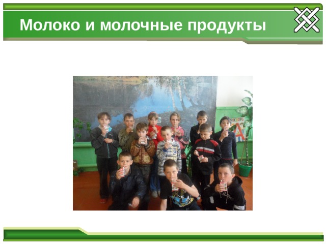 Молоко и молочные продукты 