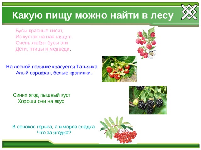 Какую пищу можно найти в лесу  Бусы красные висят,  Из кустах на нас глядят.  Очень любят бусы эти  Дети, птицы и медведи .  На лесной полянке красуется Татьянка  Алый сарафан, белые крапинки.  Синих ягод пышный куст Хороши они на вкус В сенокос горька, а в мороз сладка.  Что за ягодка? 
