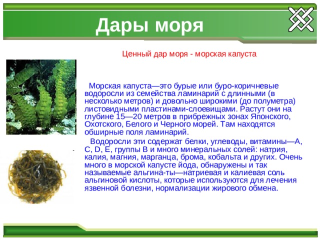 Дары моря Ценный дар моря - морская капуста  Морская капуста—это бурые или буро-коричневые водоросли из семейства ламинарий с длинными (в несколько метров) и довольно широкими (до полуметра) листовидными пластинами-слоевищами. Растут они на глубине 15—20 метров в прибрежных зонах Японского, Охотского, Белого и Черного морей. Там находятся обширные поля ламинарий.  Водоросли эти содержат белки, углеводы, витамины—А, С, D, Е, группы В и много минеральных солей: натрия, калия, магния, марганца, брома, кобальта и других. Очень много в морской капусте йода, обнаружены и так называемые альгина-ты—натриевая и калиевая соль альгиновой кислоты, которые используются для лечения язвенной болезни, нормализации жирового обмена. 