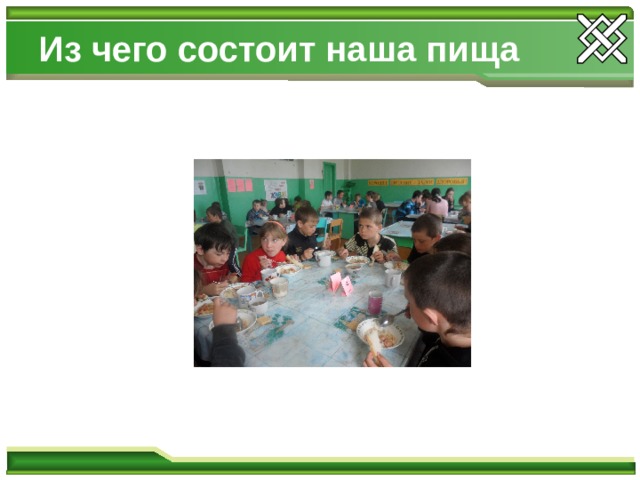Из чего состоит наша пища 
