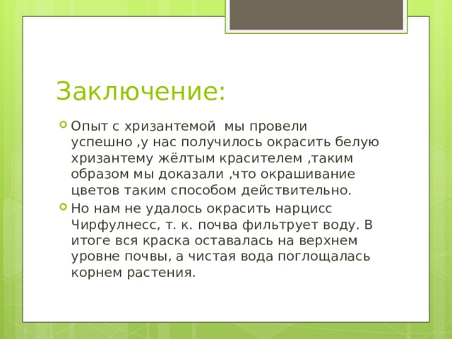 Заключение: Опыт с хризантемой мы провели успешно ,у нас получилось окрасить белую хризантему жёлтым красителем ,таким образом мы доказали ,что окрашивание цветов таким способом действительно. Но нам не удалось окрасить нарцисс Чирфулнесс, т. к. почва фильтрует воду. В итоге вся краска оставалась на верхнем уровне почвы, а чистая вода поглощалась корнем растения. 