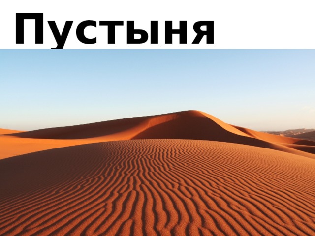 Пустыня 