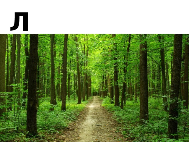 Л 