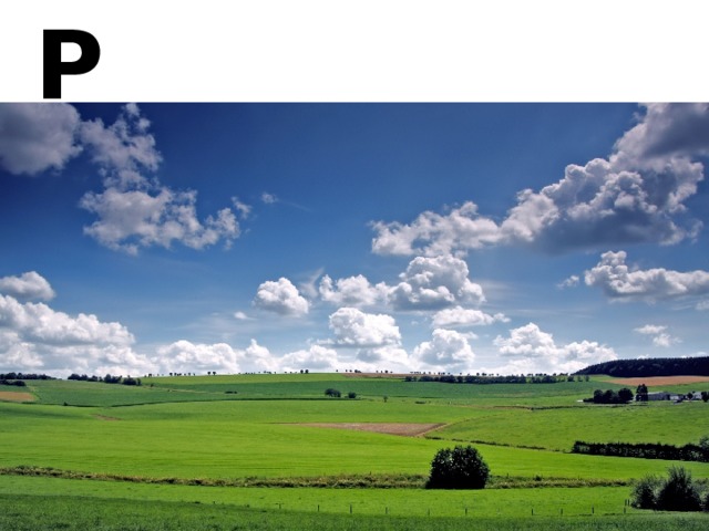 Р 