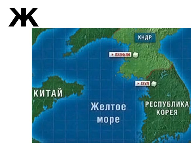 Ж 