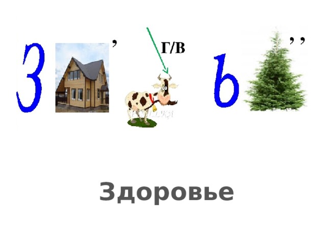 Здоровье 