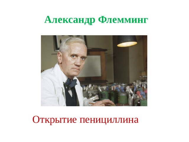 Александр Флемминг Открытие пенициллина 