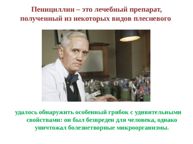 Пенициллин – это лечебный препарат, полученный из некоторых видов плесневого   удалось обнаружить особенный грибок с удивительными свойствами: он был безвреден для человека, однако уничтожал болезнетворные микроорганизмы. 