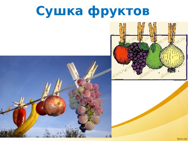 Сушка фруктов 