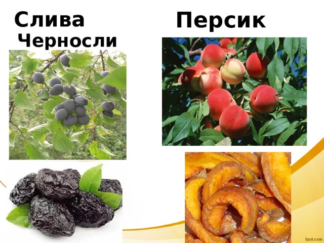 Персик Слива Чернослив   