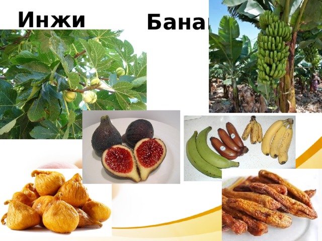 Инжир Банан 