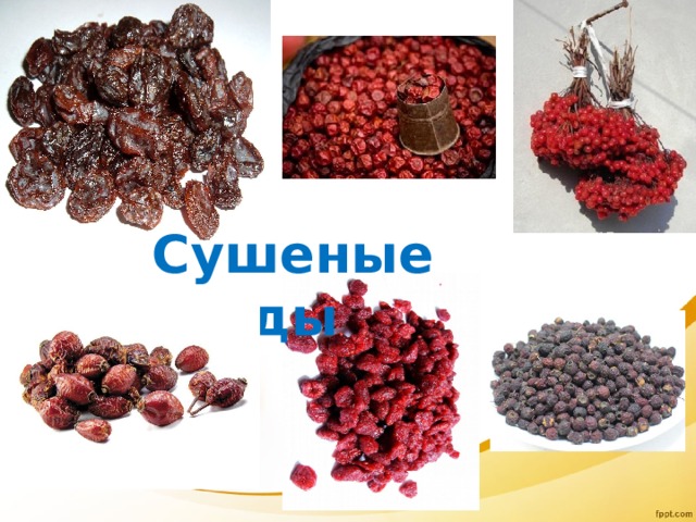 Сушеные ягоды 