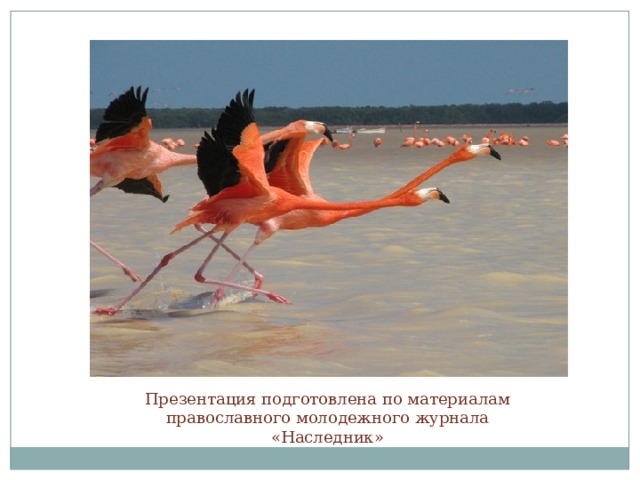 Презентация подготовлена по материалам православного молодежного журнала «Наследник» 