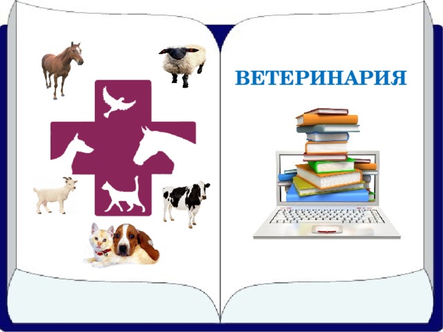 ВЕТЕРИНАРИЯ 