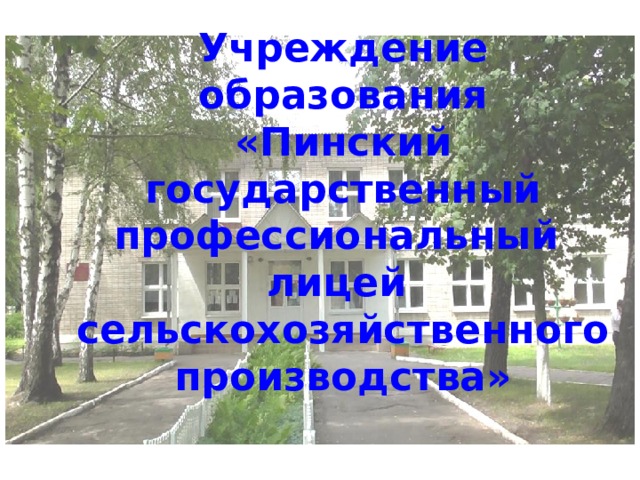 Учреждение образования  «Пинский государственный профессиональный  лицей  сельскохозяйственного производства» 