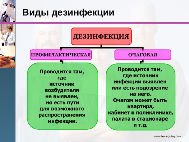 Виды дезинфекции www.themegallery.com 