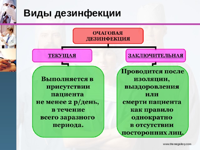 Виды дезинфекции www.themegallery.com 