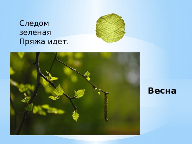 Следом зеленая Пряжа идет.    Весна 