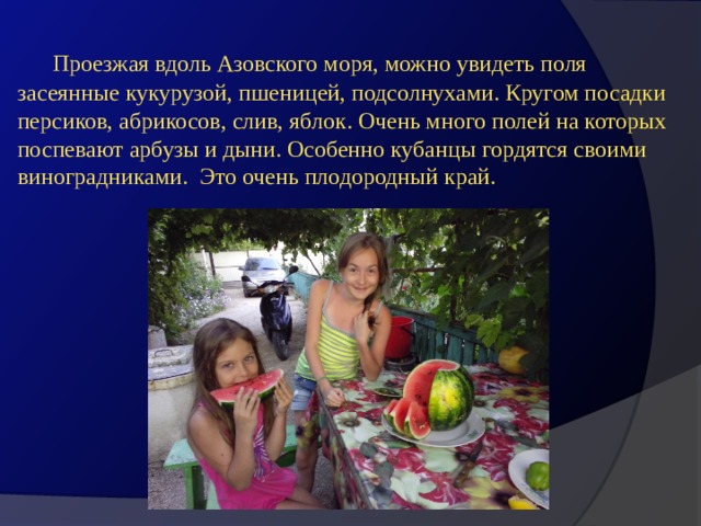  Проезжая вдоль Азовского моря, можно увидеть поля засеянные кукурузой, пшеницей, подсолнухами. Кругом посадки персиков, абрикосов, слив, яблок. Очень много полей на которых поспевают арбузы и дыни. Особенно кубанцы гордятся своими виноградниками. Это очень плодородный край. 