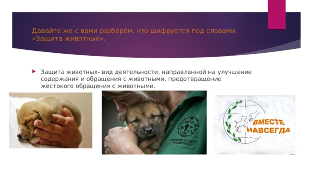 Давайте же с вами разберём, что шифруется под словами «Защита животных». Защита животных- вид деятельности, направленной на улучшение содержания и обращения с животными, предотвращение жестокого обращения с животными. 