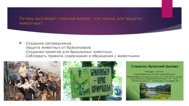 Теперь возникает главный вопрос: что нужно для защиты животных? -Создание заповедников.  -Защита животных от браконьеров.  -Создание приютов для брошенных животных.  -Соблюдать правила содержания и обращения с животными.   
