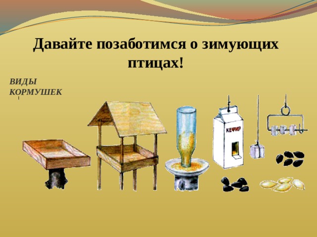 Давайте позаботимся о зимующих птицах! ВИДЫ КОРМУШЕК 
