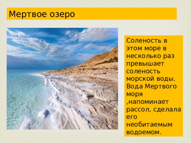 Мертвое озеро Соленость в этом море в несколько раз превышает соленость морской воды. Вода Мертвого моря ,напоминает рассол, сделала его необитаемым водоемом. 
